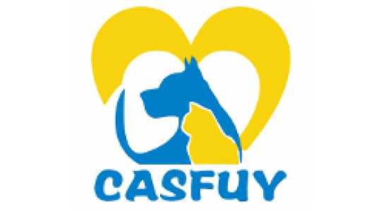 CASFUY