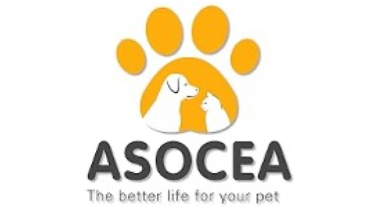 ASOCEA